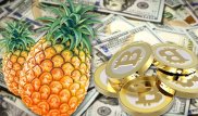 Анонимный "ананасовый" Bitcoin-филантроп раздает миллионы долларов