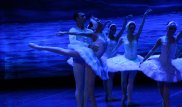 "Лебединое озеро" и "Искателей жемчуга" представили в Италии артисты ГАТОБ имени Абая