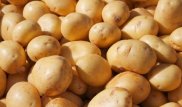 Как отразилось удорожание бензина на ценах на продукты в Казахстане