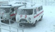 Загадочная смерть: отец, сын и кот скончались в один момент