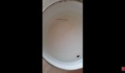 Жительницу Актау шокировала находка в воде из-под крана
