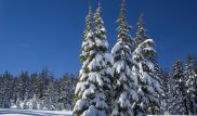 Потепление с метелью обещают казахстанцам