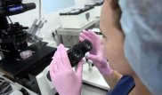 Названа причина необъяснимого бесплодия у семейных пар