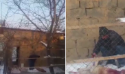 Шокирующее видео с "разделкой" собаки прокомментировали в полиции ЮКО