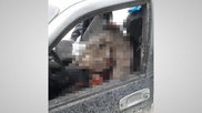 Рассылку кровавых фотографий прокомментировали в МВД РК