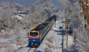 Около 400 человек спасли железнодорожники из снежного плена в ЮКО и Жамбылской области
