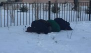 Фото молящихся возле школы в Актобе женщин прокомментировали в министерстве