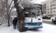 Автобус въехал в дерево в Алматы: пострадали 4 пассажира