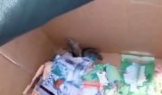 Мыши прятались от снежной бури в Астане в банкомате и "съели" деньги