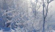 Штормовое предупреждение объявили в трех областях Казахстана