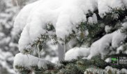 Самый продолжительный снегопад за зиму прекратился в Алматы