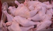 Эксперты признали курятину из России опасной для жизни