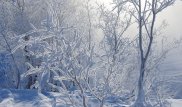 Морозы до 45 градусов ожидаются в Казахстане
