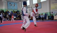 Павлодар собрал более 1000 спортсменов из разных стран