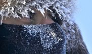 До 35 градусов мороза: в Алматинской области штормовое предупреждение