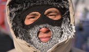Пингвины и скукоженный iPhone. Как в Сети отреагировали на морозы в Астане