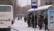 В Астане частично возобновят движение пригородных автобусов