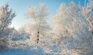 "Сюрпризы погоды" - сильные морозы в Казахстане объяснили синоптики