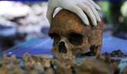 Найденная в Израиле челюсть может "перевернуть" историю человечества