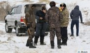 Волчица мстит жителям аула за убийство своего арлана в Атырауской области
