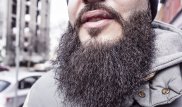 Будут расписаны и длина бороды, и другие признаки - министр Ермекбаев
