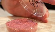 Назван продукт, повышающий риск развития рака в 100 раз