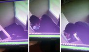 Аферу с валютой провернул мужчина в обменнике в Актау