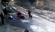 Дикий кабан убил мужчину и покалечил женщину. Нападение попало на камеру