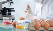 Единый госорган по пищевой безопасности предложили определить в Казахстане