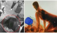 Пассажирка залезла в просвечивающий сканер, чтобы не расставаться со своим багажом