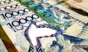 Голубь не переливается: в Нацбанке прокомментировали снимок "поддельной" купюры