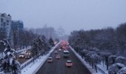Жители Алматы почувствовали землетрясение