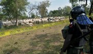 36 человек погибли в перестрелке из-за стада овец в Нигерии