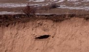ЧП в ЮКО: Останки умерших с кладбища смывает в реку