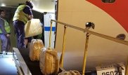 Захарова объяснила, откуда в посольстве России 400 килограммов кокаина