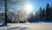 Похолодание прогнозируют синоптики в Казахстане