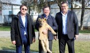 Внук известного бизнесмена подарил львенка зоопарку Шымкента