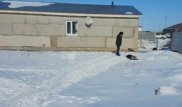 Овчарка загрызла ребенка своих хозяев в Акмолинской области
