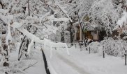 15 сантиметров снега выпало в Алматы за ночь