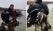 Видео охотника со связками мертвых птиц прокомментировали в МСХ