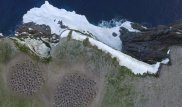 Удивительное открытие сделали в труднодоступном районе Антарктиды