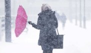 Штормовое предупреждение: астанчан попросили держаться подальше от столбов и деревьев