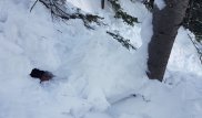 Мужчина вышел прогуляться на лыжах и погиб под лавиной в ВКО