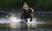 Путин прокомментировал свои фотографии на медведе и твиты Трампа
