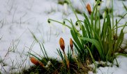 Какая погода будет в выходные