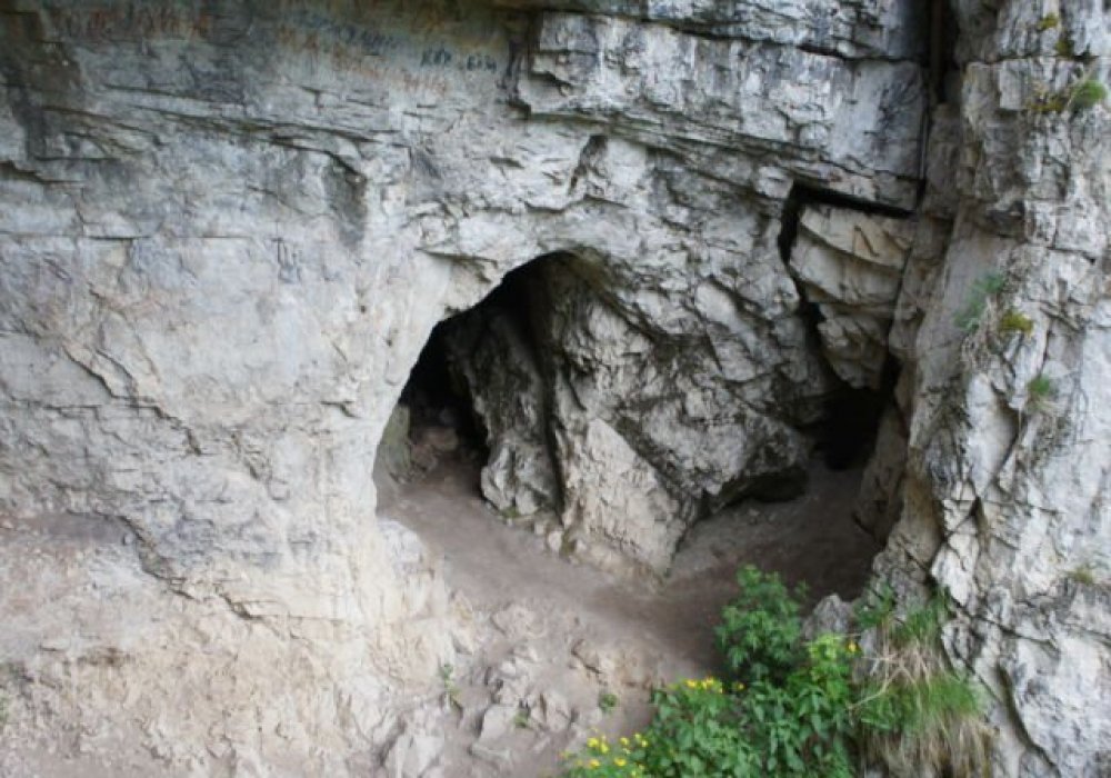 Вход в Денисову пещеру. © Wikimedia