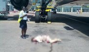 Стюардесса Emirates погибла, выпав из самолета