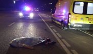 В Алматы мужчина бросился под машину и скончался