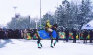 Лошадь станцевала кара жоргу в Кокшетау на Наурыз