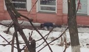 Мужчину убило упавшей с крыши глыбой льда в Уральске